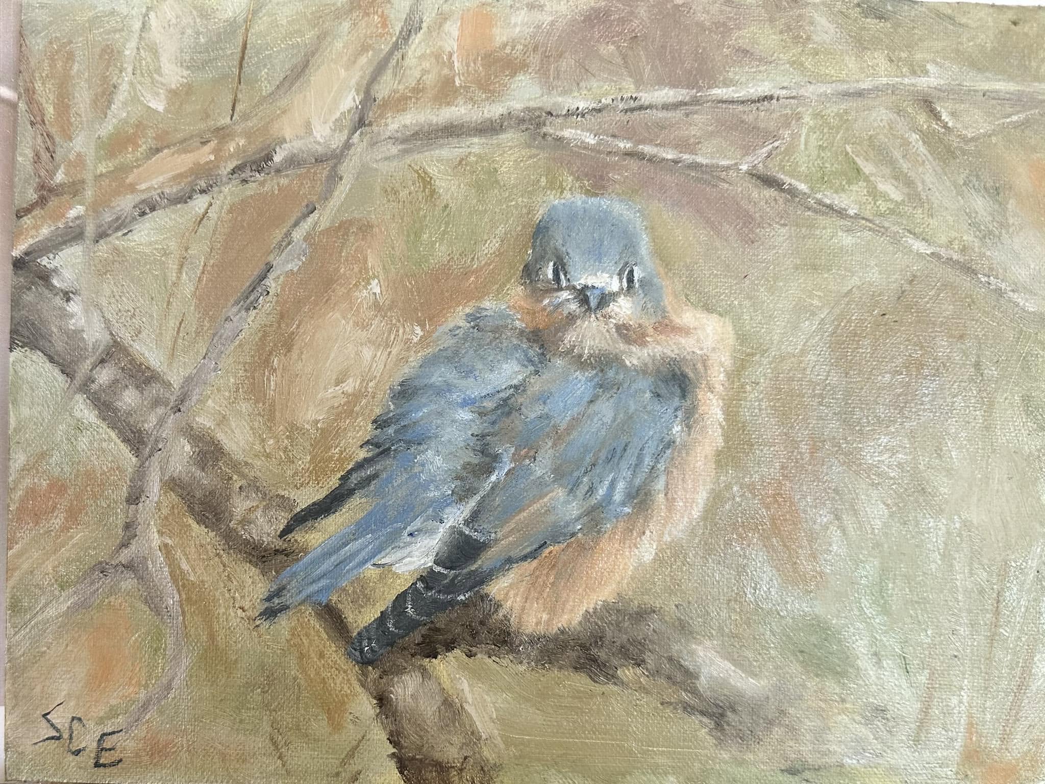 Eastern Bluebird 6x8"
