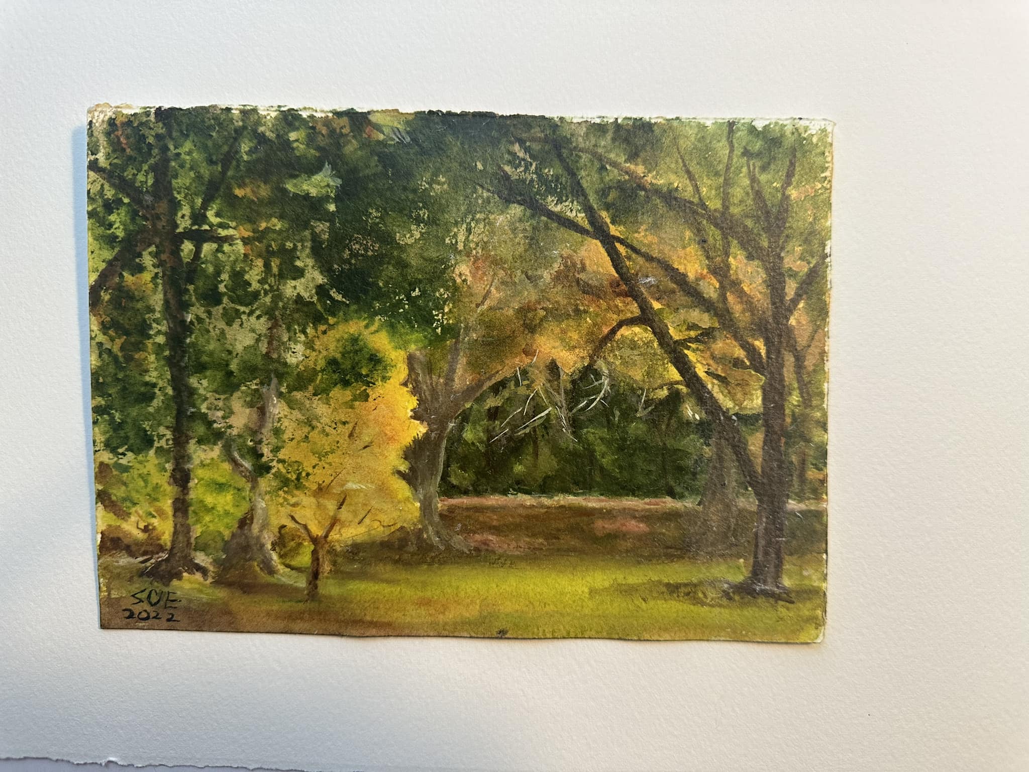 Backyard 5x7"