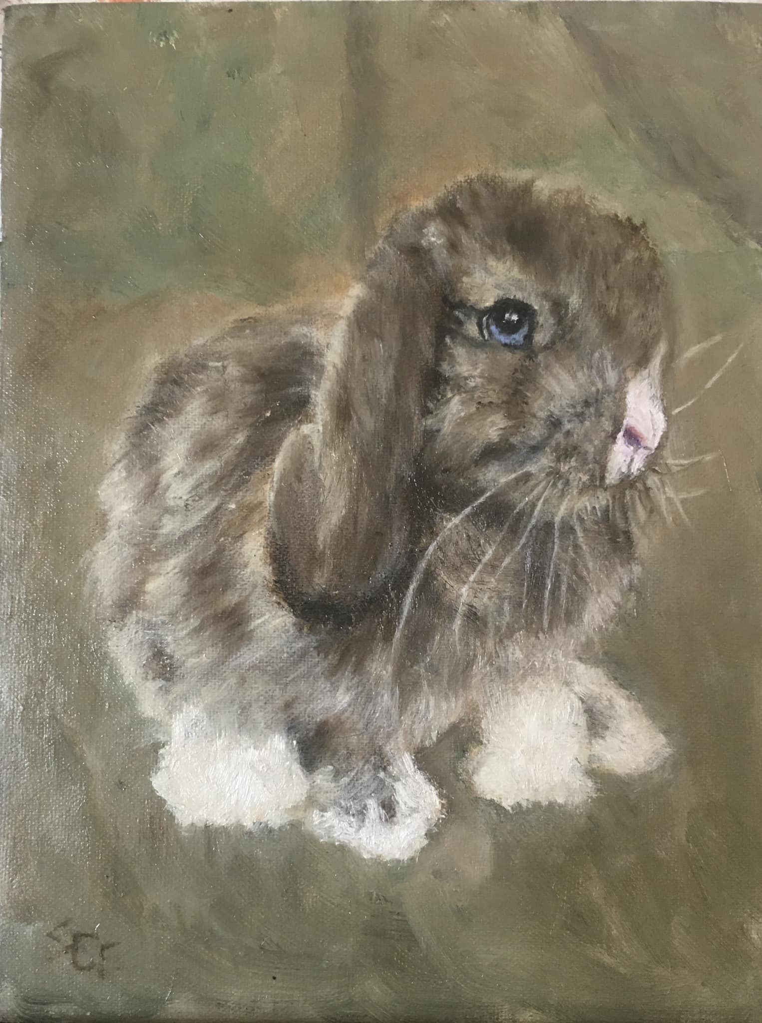 Rabbit 6x8"